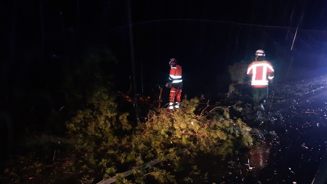 20220221_051846 groß.jpg